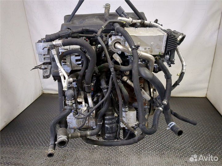 Двигатель Ford Mondeo 5 2015, 2019