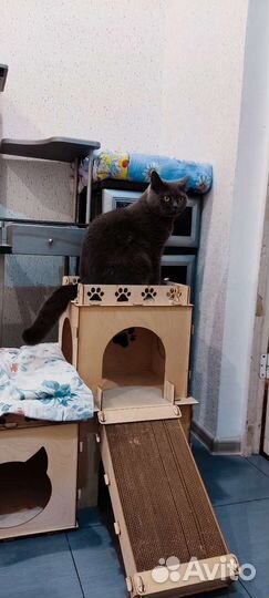 Домик лежанка для кошки