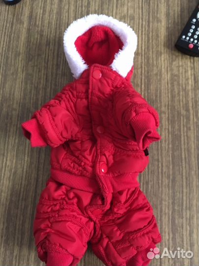 Комбинезон для мелких собачек