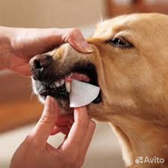 Салфетки для очищения зубов и глаз собак и кошек