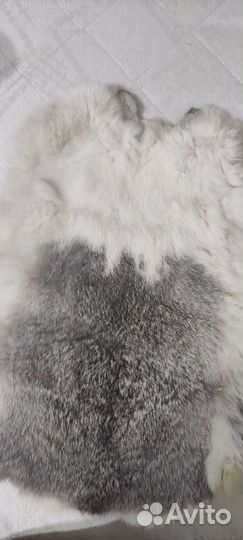 Мздра, шкурка/шкура кролика