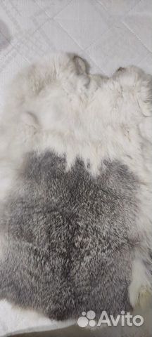 Мздра, шкурка/шкура кролика