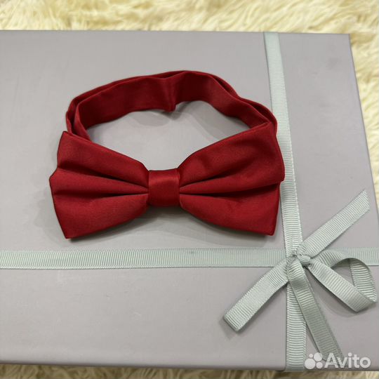 Бабочка мужская