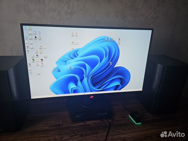 Oled монитор asus XG27aqdmg