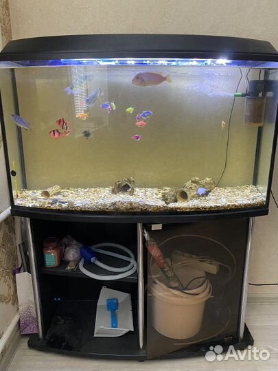 Аквариум 250 литров с тумбой