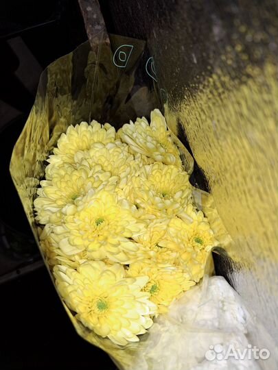 Гипсофила, розы, хризантемы, букеты