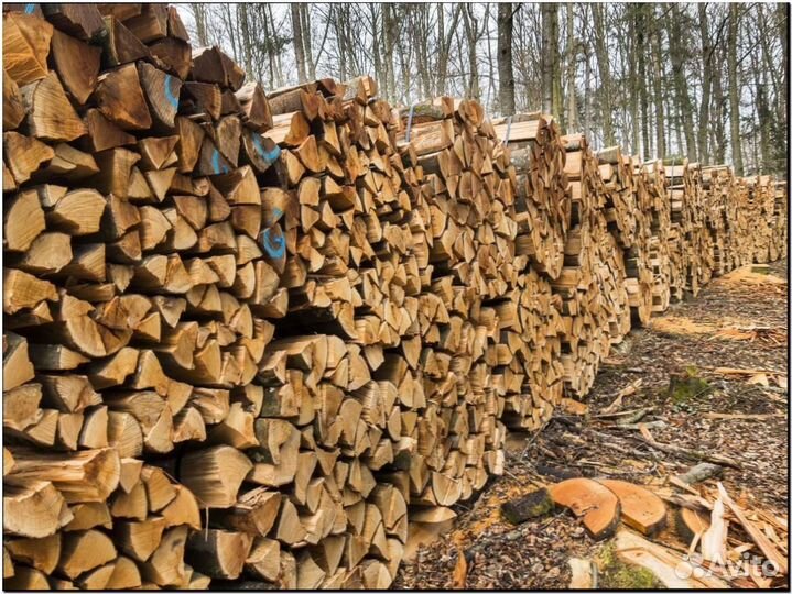 Дрова береза, осина, хвоя,дуб