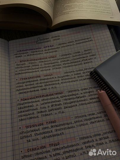 Перепишу конспекты, лекции