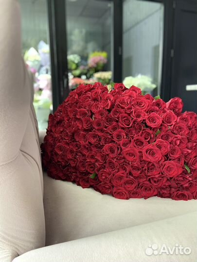 Букет Роз Розы 101 201 301 Доставка Роза