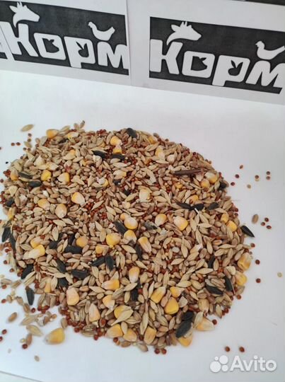Зерносмесь цельная для с/х птиц