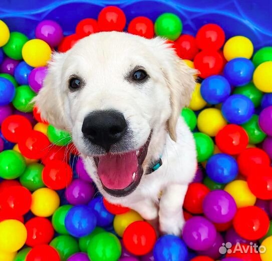 Игровые разноцветные наборы шариков