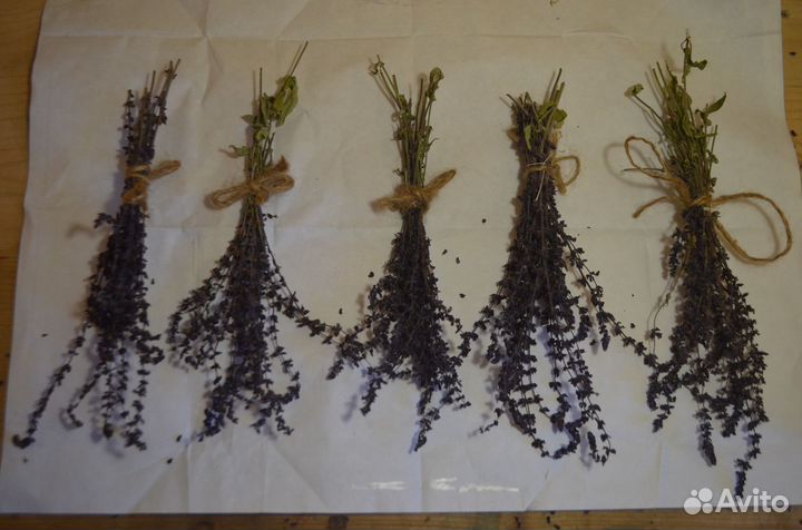 Букетики сухоцветы лаванда шалфей душица