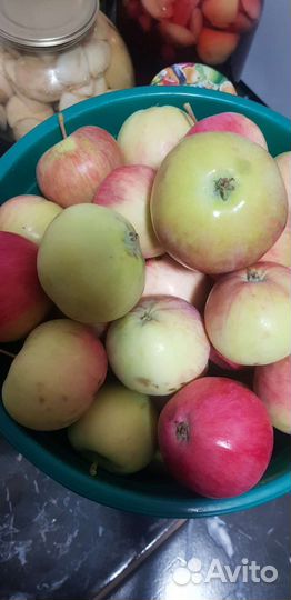 Яблоки