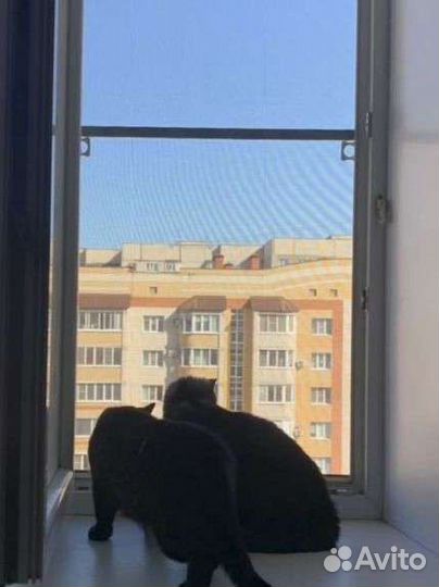 Ремонт пластиковых окон и дверей