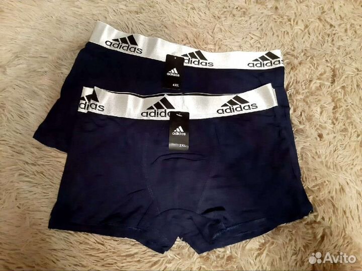 Боксеры новые