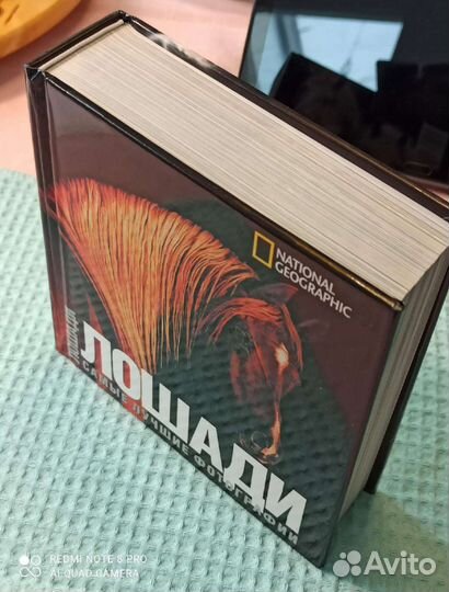 Резерв до 22.08. Книга Лошади. Лучшие фотографии