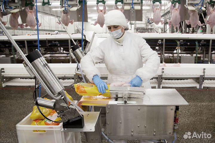 Работа на птицефабрике, вахтовый метод Пермь