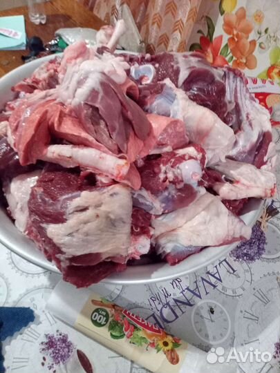 Козье мясо халяль, козлы упитанные