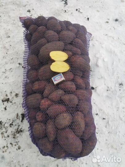 Продам картофель с доставкой