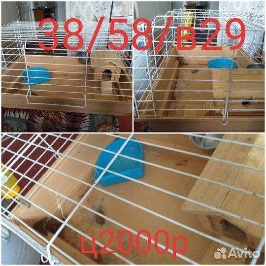 Клетки маленькие.клетки большие с потдонам