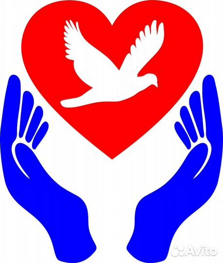 Сиделка (Социальный работник)