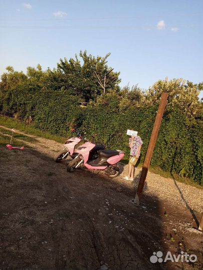 Скутер Stels Tactic