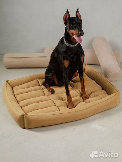 Доберман/шпиц фотосъемка для Оzon, Wildberries