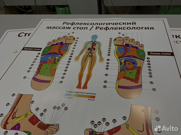 Плакат «Рефлексология» А1