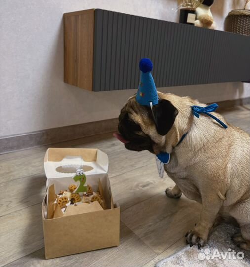 Торт для собак