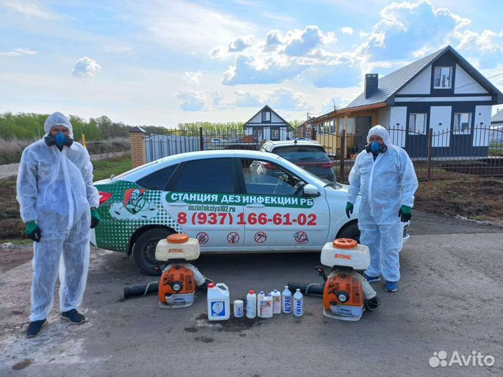 Дезинфекция