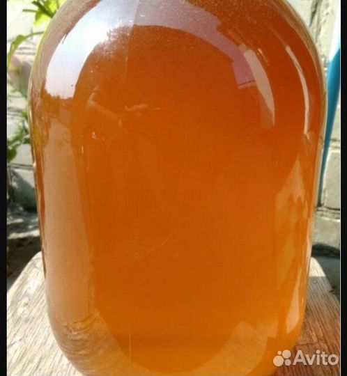 Мед с доставкой на дом