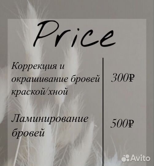 Мастер бровист