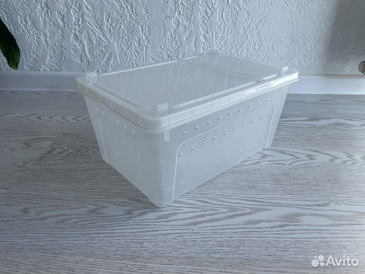 Контейнер для хомяка, улитки