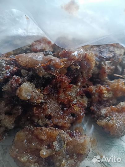 Живица кедровая розница