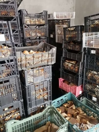 Хлеб молочка мясные продукты для животных