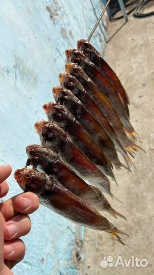 Астраханская вобла