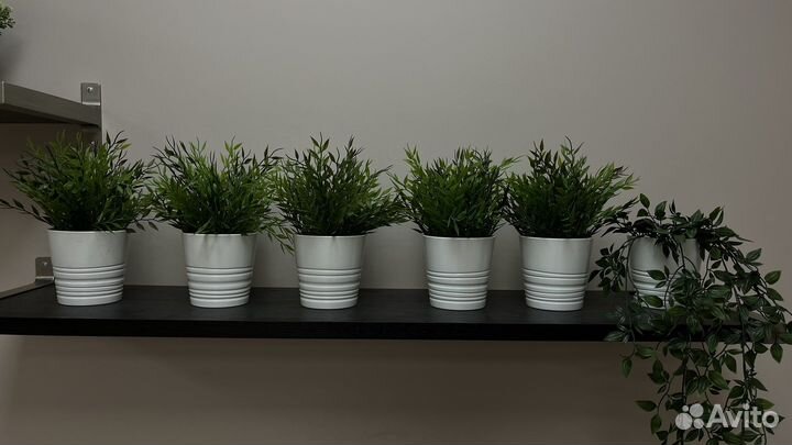 Декоративный куст в горшке IKEA