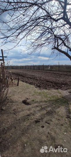 Вспашка огорода мотоблоком