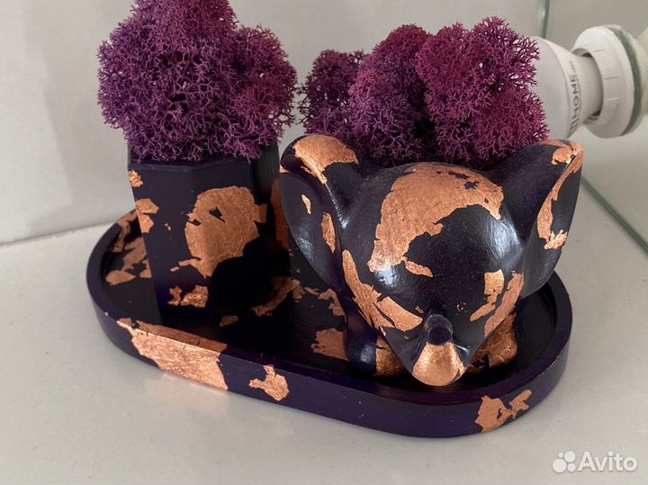 Декор. Стабилизированный мох. Вечное растение