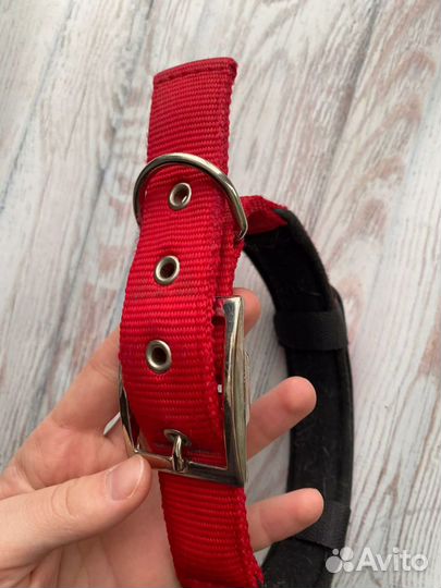 Ошейник для собак Ferplast daytona 47-55