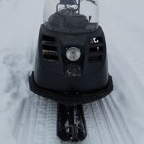 Буран живой