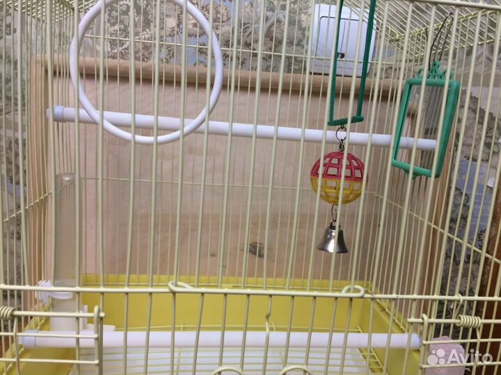 Клетка для птиц 45 см с принадлежностями