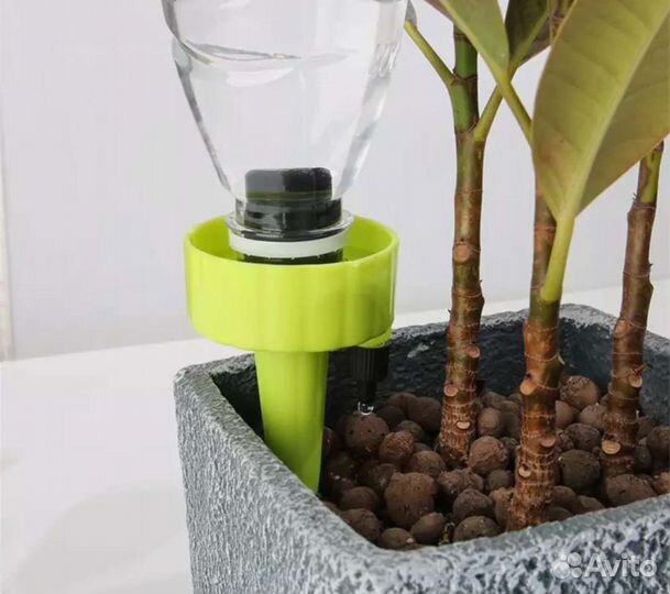 Капельный полив растений