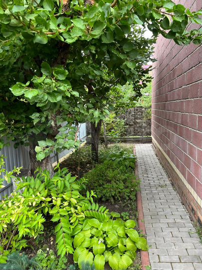 Дача 73 м² на участке 4 сот.