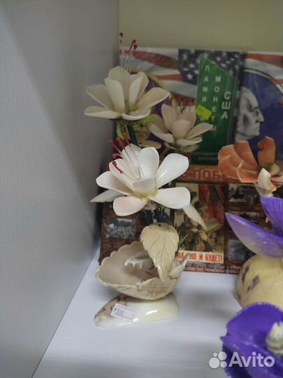 Сувениры из ракушек