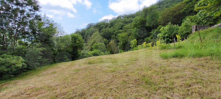 Участок 9,9 сот. (СНТ, ДНП)