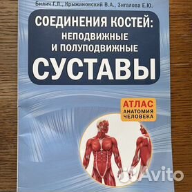 Соединения костей: неподвижные и полуподвижные суставы