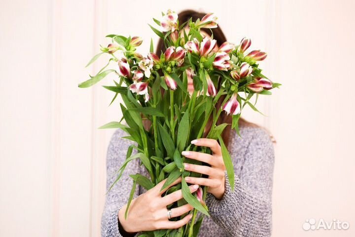 Букет цветы альстромерия