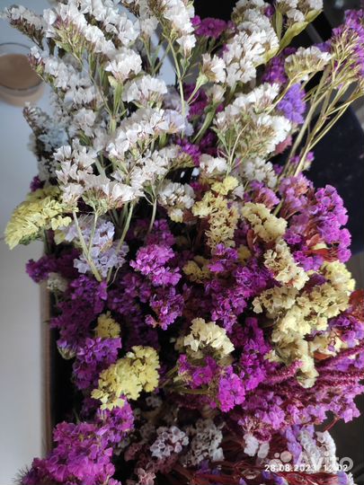 Статица (кермек) сухоцветы