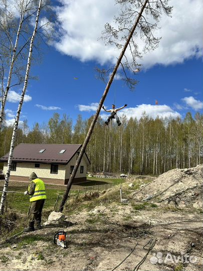 Вырубка деревьев расчистка участков